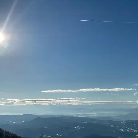 Mountain View President Kop