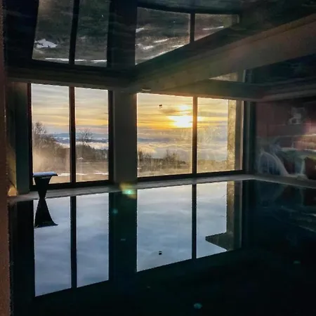 Mountain View President Kop * 科帕奥尼克