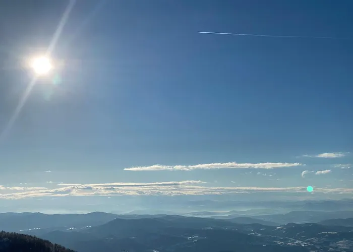 Mountain View President Kop