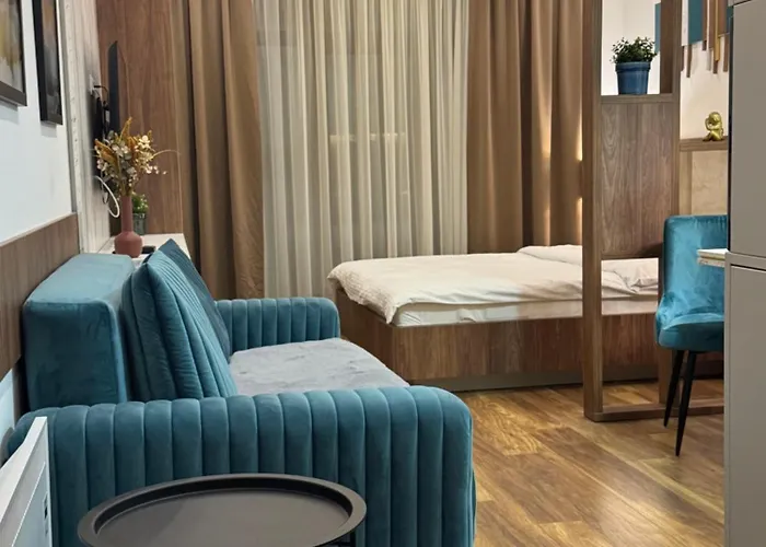 Mountain View President Kop 科帕奥尼克