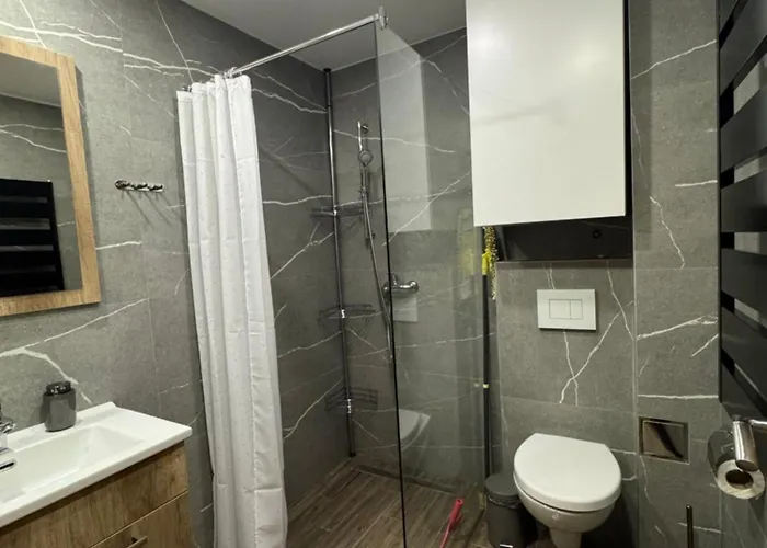 Apartament Mountain View President Kop Kopaonik