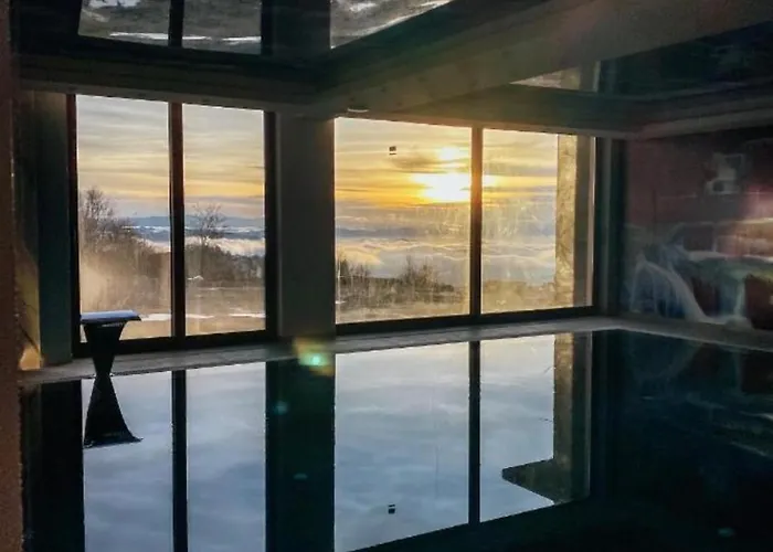 Mountain View President Kop * 科帕奥尼克